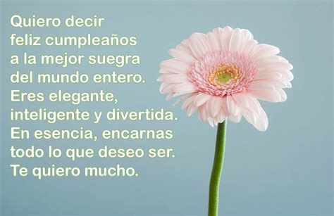 palabras de cumpleaños para mi suegra|Frases de Cumpleaños para mi Suegra